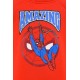 Sudadera SpiderMan para niño