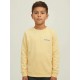 Jerséis y Sudaderas	 Sudadera básica niño Jack & Jones