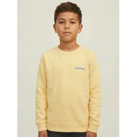 Jerséis y Sudaderas	 Sudadera básica niño Jack & Jones