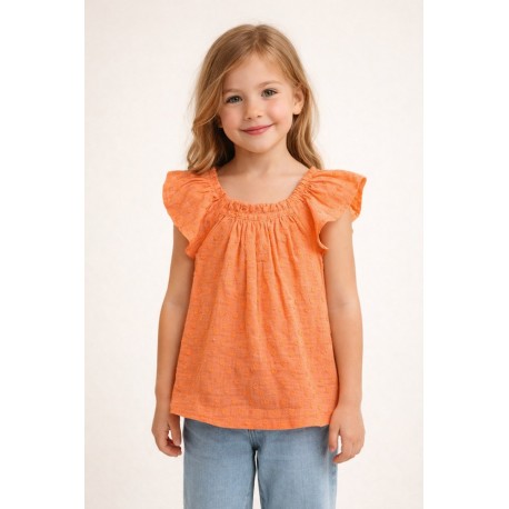 Niña	 Blusa niña plumeti Zippy