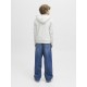 Sudadera capucha Jack & Jones