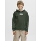 Sudadera capucha Jack & Jones