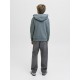 Sudadera capucha Jack & Jones