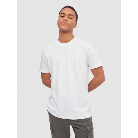 Camiseta básica hombre Losan