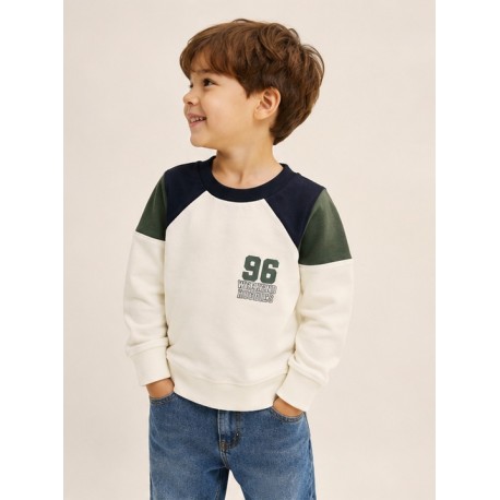 Jerséis y Sudaderas	 Sudadera combinada niño Zippy