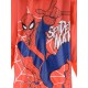 Abrigos y Chaquetas	 Impermeable niño Spiderman