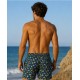 Bañador hombre Peces Don Algodón