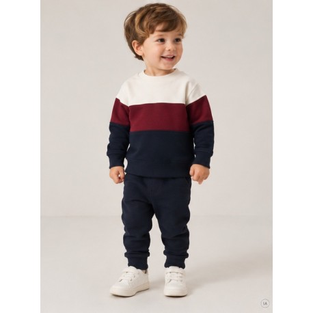 Sudadera tricolor niño Zippy