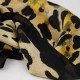 Fular mujer "Animal print"