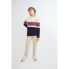 Camiseta tricolor Street Monkey niño