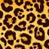 LEOPARDO